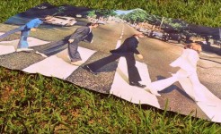 RESULTADOS CONCRETOS luego de una Ronda de Negocios